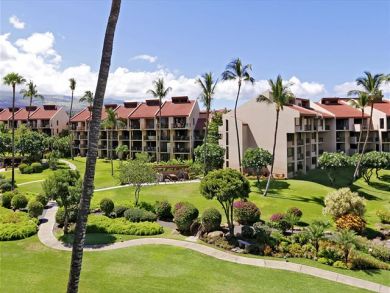 Wailea Condo 896112